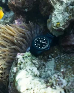 Discount DS Action Diver sort 43 mm Dykkerklokker | Til Han