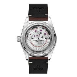 Hot Seamaster 300 lærrem 41 mm Til Han | Dykkerklokker