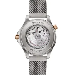 Outlet Seamaster Diver 300M titan og bronse 42 mm Dykkerklokker | Til Han