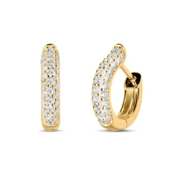 Best Øreringer i forgylt sølv med cubic zirkonia Ørepynt